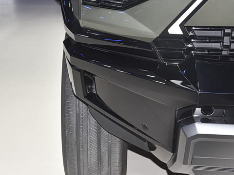 2025�� Pro