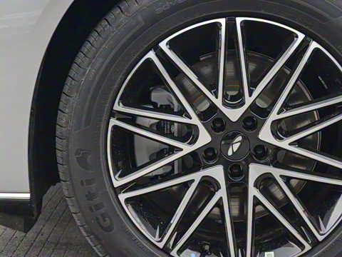 2025�� 260��������������