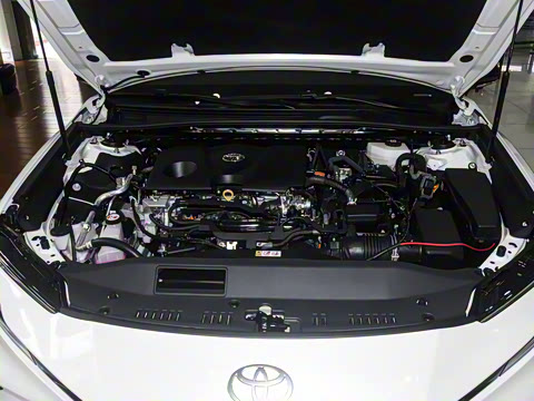 2026�� ˫�� 2.0HS �˶���