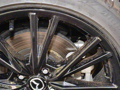 2025�� �ֶ��������� ī�����