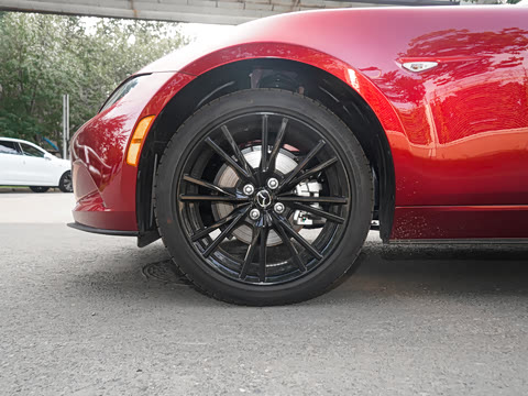 2025�� �ֶ��������� ī�����