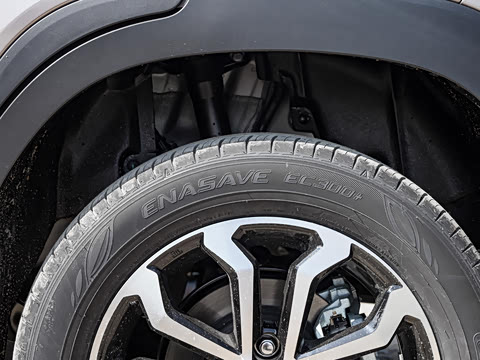 2026�� 2.0L ���ܵ��˫�� ������