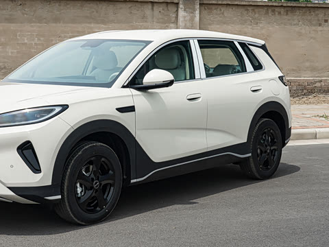 2026�� DM-i 220������