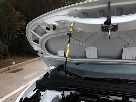 2026�� ������PURE