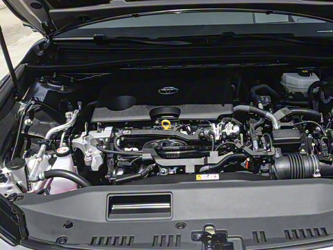 2026�� ˫�� 2.0HS �˶���