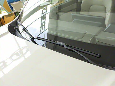 2026�� 1.5T ��Ȥ��