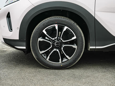 2026�� DM-i 305�Ǻ���