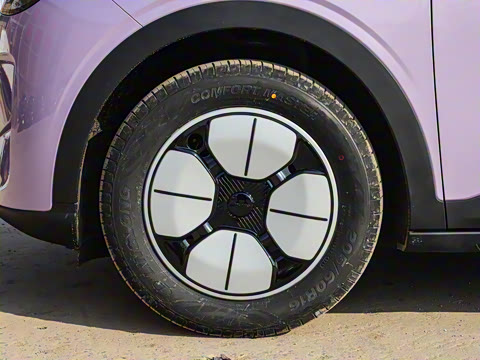 2026�� 310km �ഺ��