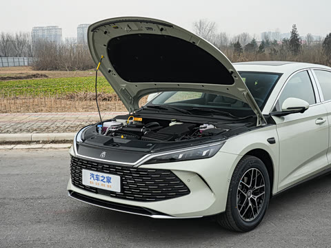 2026�� DM-i 210KM��Խ��