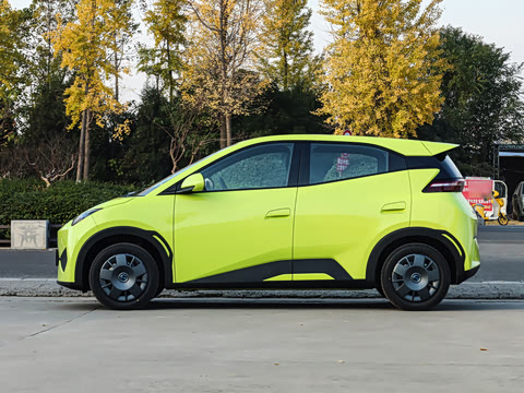 2025�� �Ǽݰ� 305km ������