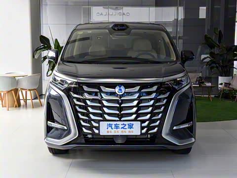 2025�� DM-i ��������