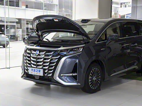 2025�� DM-i ��������