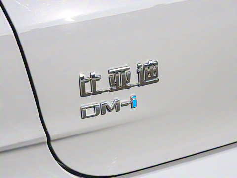 2026�� DM-i 170KM��Խ��