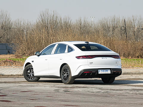 2026�� DM-i 170KM��Խ��