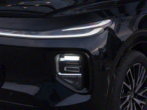 2025�� 215����������