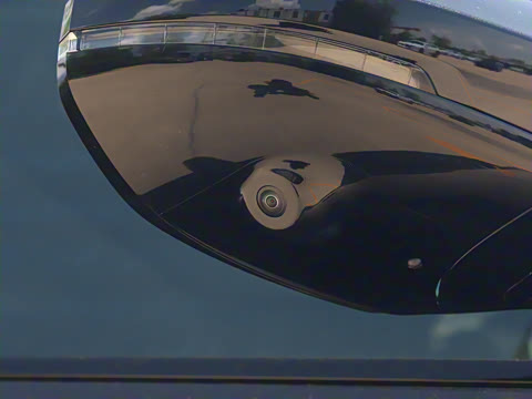 2026�� �������������