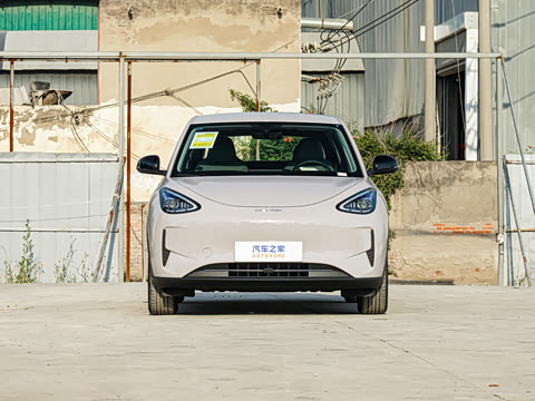 2026�� 310km ������