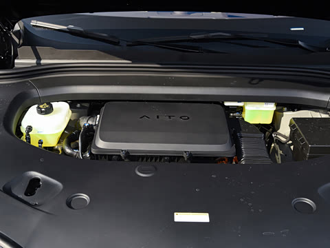 2026�� ���� Max�������� 5��