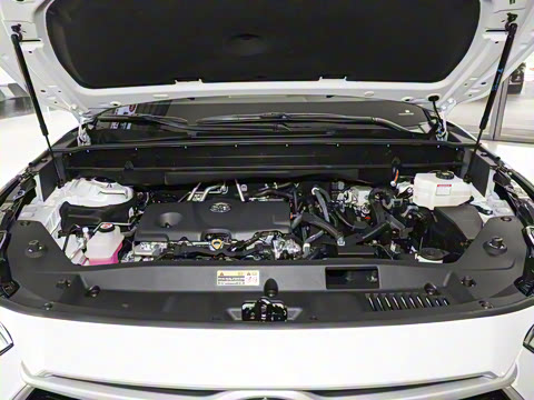 2026�� 2.5L���ܵ��˫��������Ӣ�� 5��