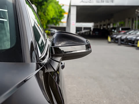 2024�� RS 5 2.9T Coupe ȼ���