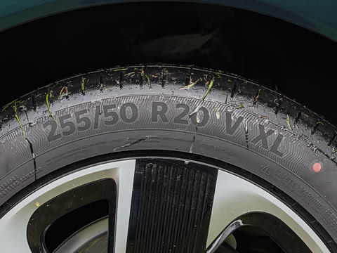 2026�� �����