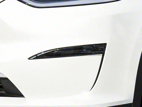 2026�� ˫���ȫ��������