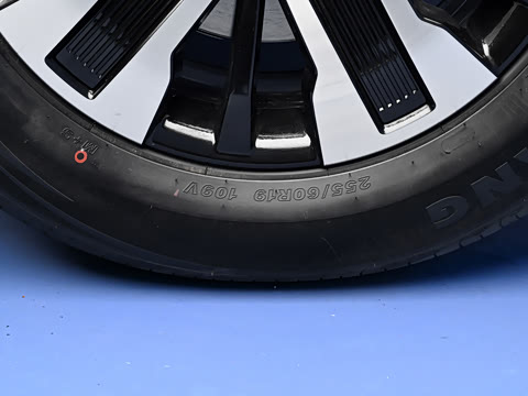 2026�� 255km ������