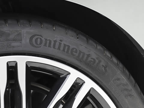 2026�� ����������������