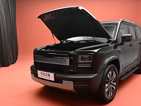 2026�� 255km ������