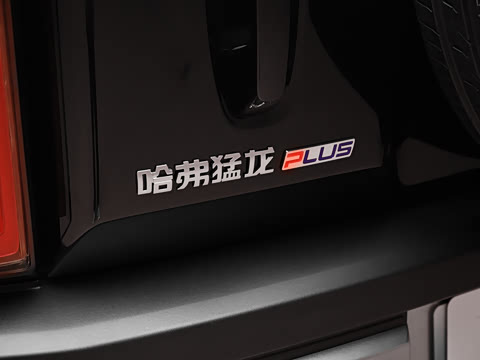 2026�� 255km ������