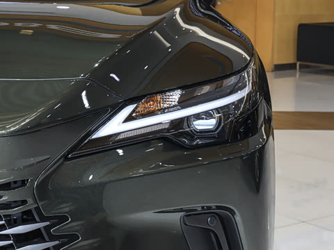 2025�� 350h ����������