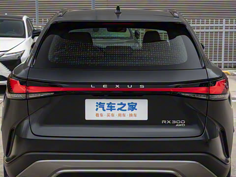 2026�� 300 ����Black Edition