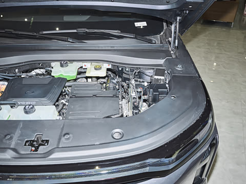 2025�� 205km Pro+�����״��