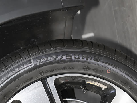 2026�� �鶯��������