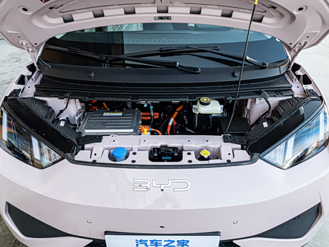 2026�� 305km ���ɰ�