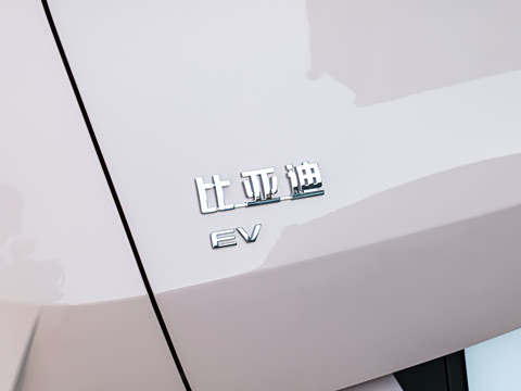 2026�� 305km ���ɰ�