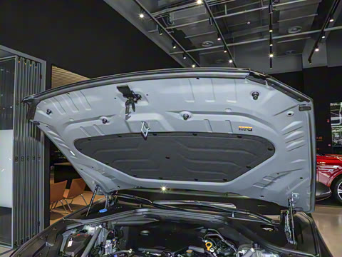 2025�� 2.5T ����������