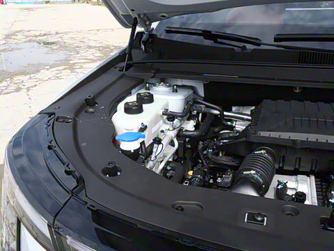 2026�� 121km ������ 5��