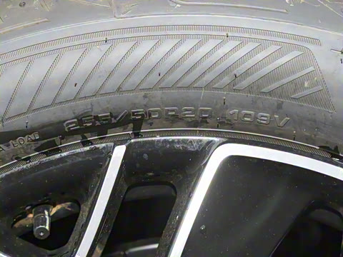 2026�� Elite �����