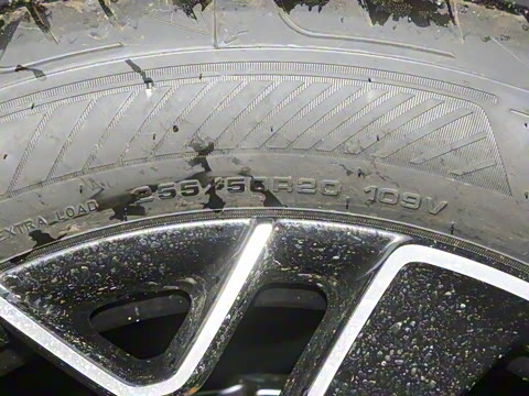 2026�� Elite �����