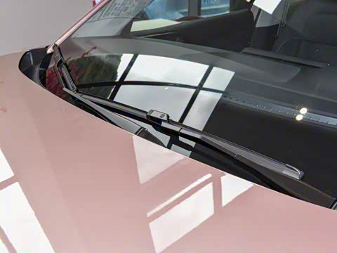 2026�� ���� 300TSI ������