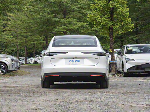 2026�� 520�Ǻ���