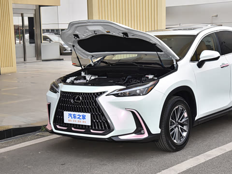 2026�� 350h ��ɫ�޶���