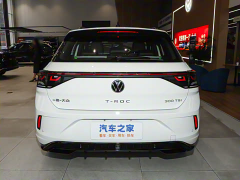 2026�� 300TSI DSG���������