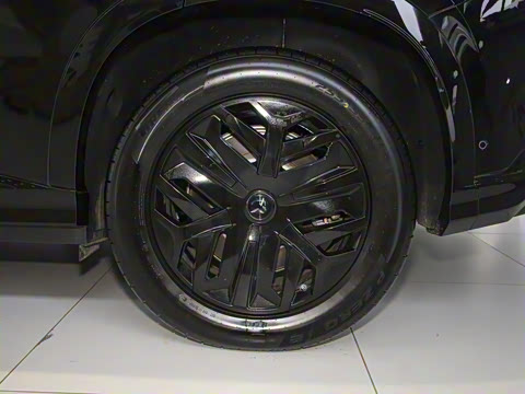 2025�� 520 Max������