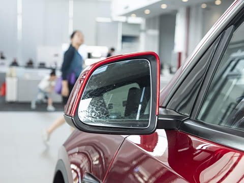 2025�� ������ȫ��������