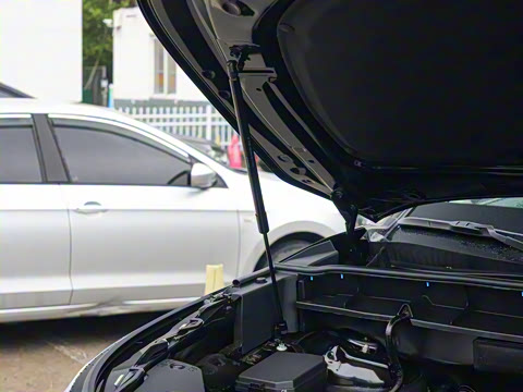 2026�� 2.5L���ܵ��˫����������� 7��