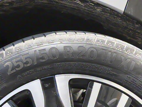 2025�� ������