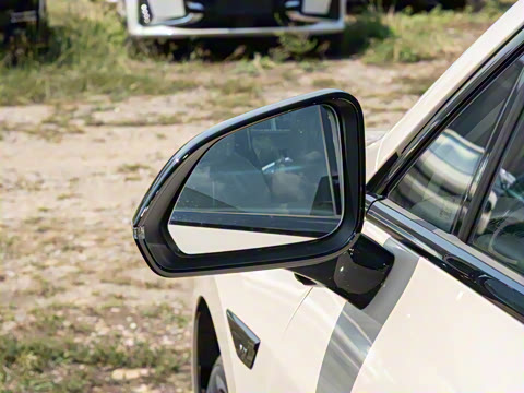 2026�� 520�Ǻ���