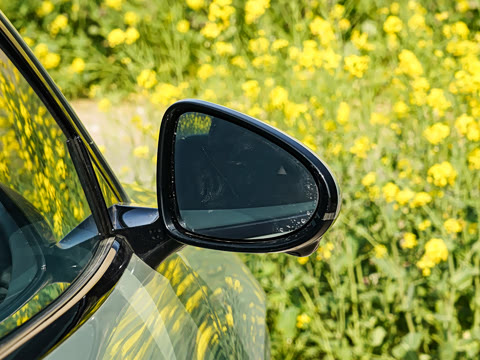 2026�� 620����Max��